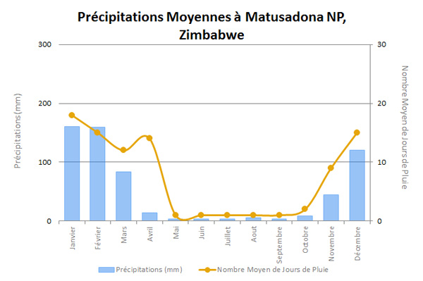 MatusadonaRainFR