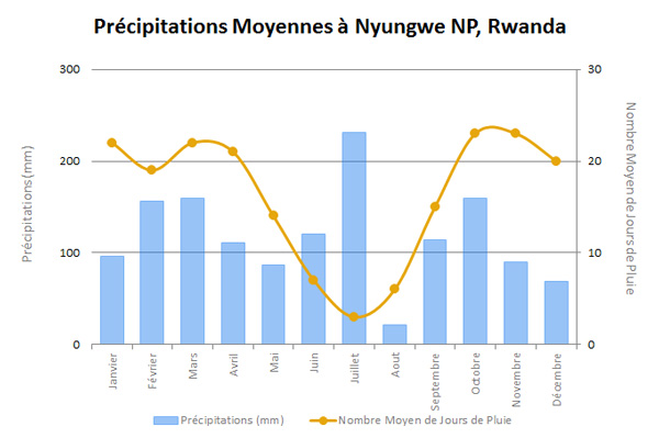 NyungweRainFR