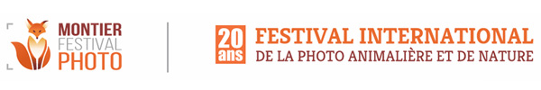 logo-festival-renard-couleur-lowdef