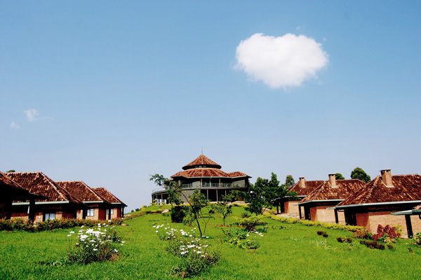 Ufrugtbar i morgen vælge Nyungwe Top View Hill Hotel - Autograph Safaris